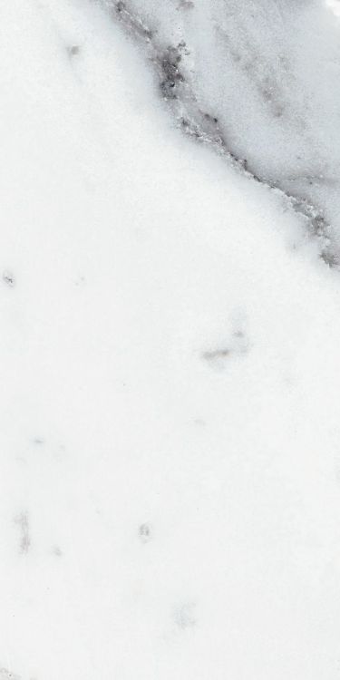 Origines Argent Glossy 12 x 24